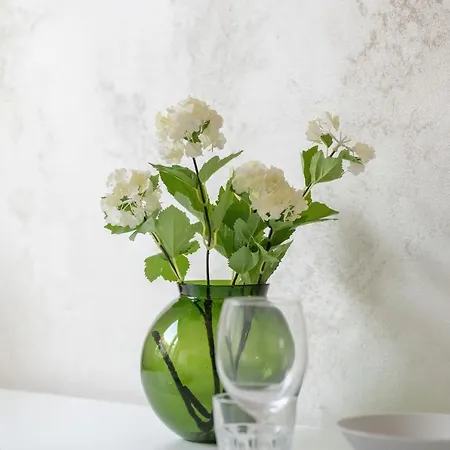 公寓 Modern Close To The Centre Of By Renters